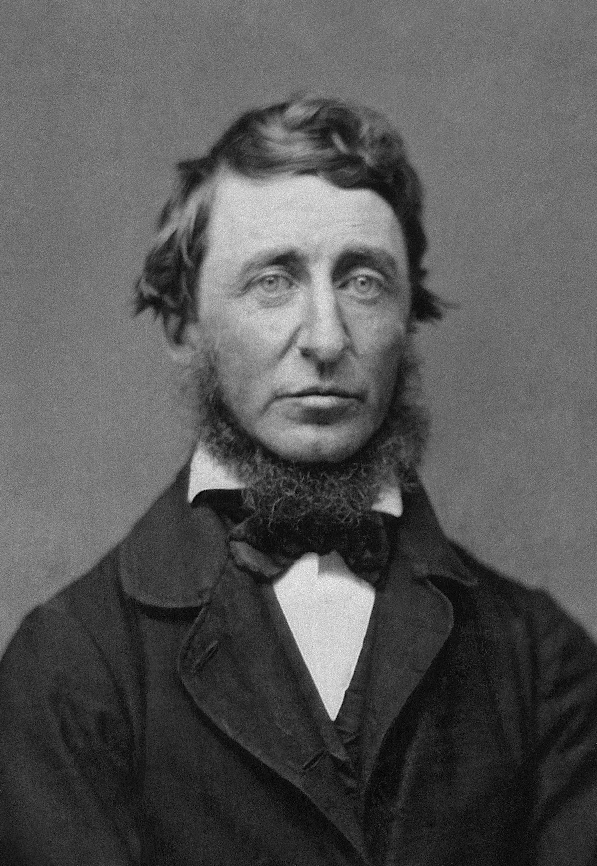 Henry David Thoreau profile photo